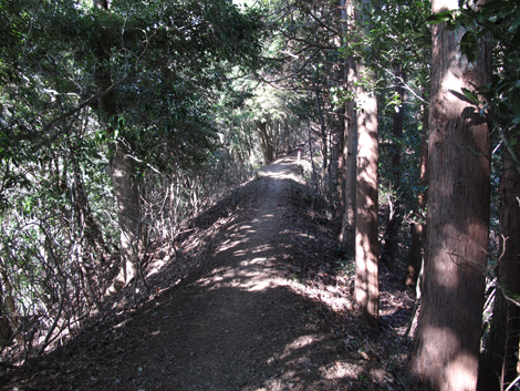 20160108hike (46)